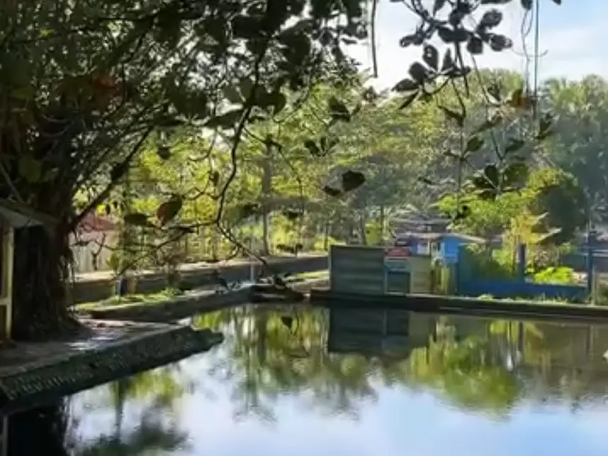 Situ Tirta marta