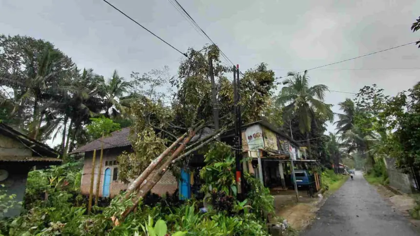 Angin puting beliung banyumas