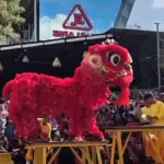 Jadwal pertunjukan Barongsai di Cilacap memperingati Imlek 2026. (Foto: Tangkapan layar TikTok @samilariscilacap)