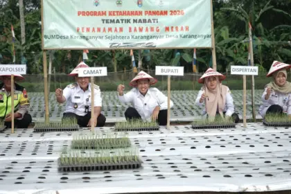 Bupati Cilacap Syamsul Auliya Rachman saat menanam bawang merah di Desa Karanganyar Adipala Cilacap. (Setda Cilacap).