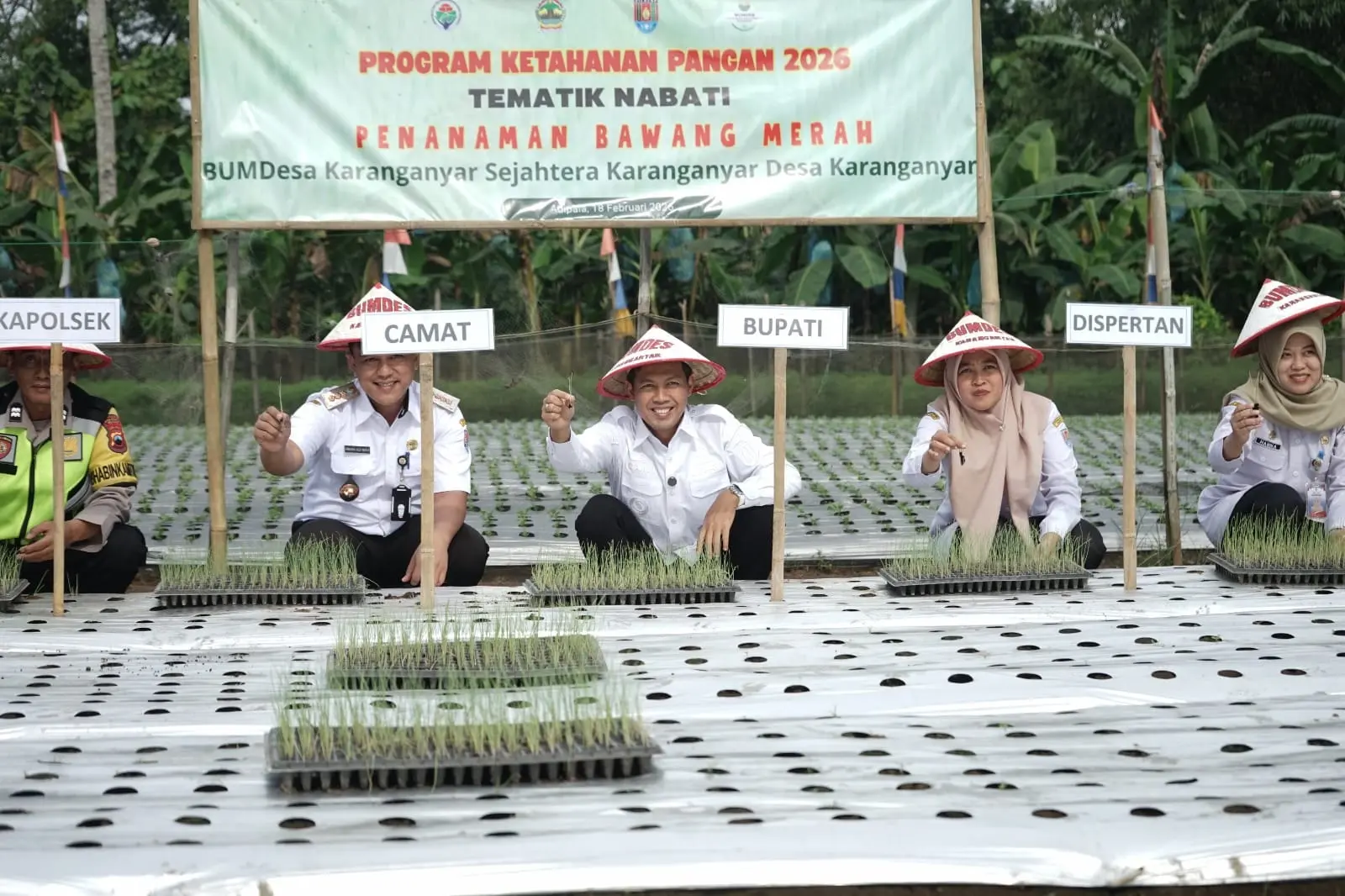 Bupati Cilacap Syamsul Auliya Rachman saat menanam bawang merah di Desa Karanganyar Adipala Cilacap. (Setda Cilacap).