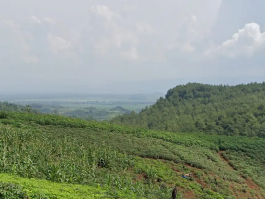 bukit sempayak