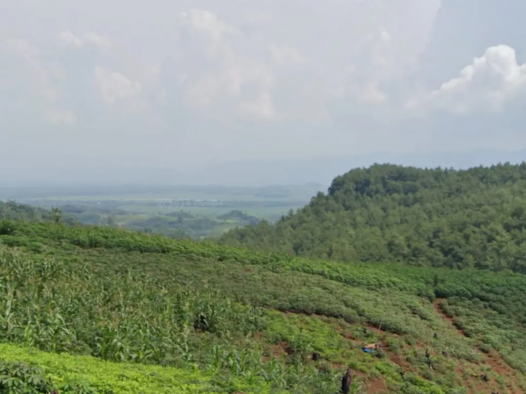 bukit sempayak