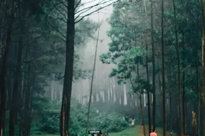 wisata cibinuang