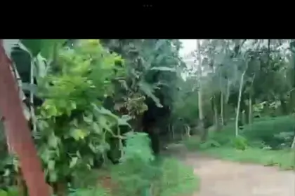 Gas misterius banjarnegara