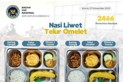 Makan bergizi gratis