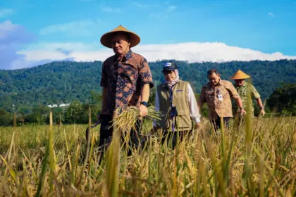 Panen raya jawa tengah