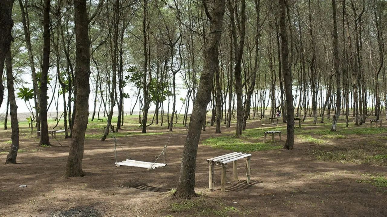 ​Keindahan Pantai Sodong yang kini terkikis abrasi. (Foto: visitjawatengah.jatengprov.go.id)