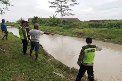 balita
