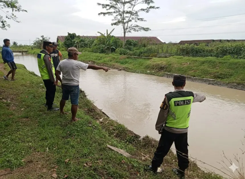 balita