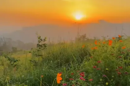Pesona camping dengan pemandangan 360 derajat di Bukit Jatisewit, Cilongok, Banyumas, cukup modal bayar seikhlasnya. (Foto: TikTok @bukit.jatisewit)