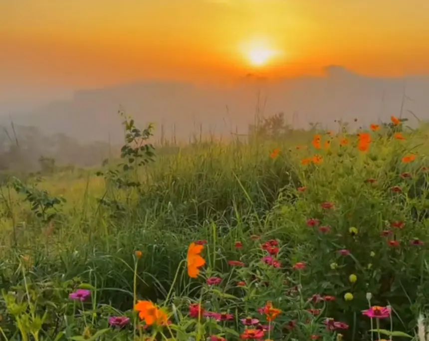 Pesona camping dengan pemandangan 360 derajat di Bukit Jatisewit, Cilongok, Banyumas, cukup modal bayar seikhlasnya. (Foto: TikTok @bukit.jatisewit)