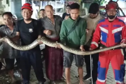 Damkarmat Kota Pekalongan