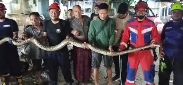 Damkarmat Kota Pekalongan