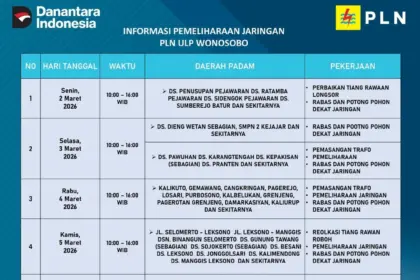 Wonosobo