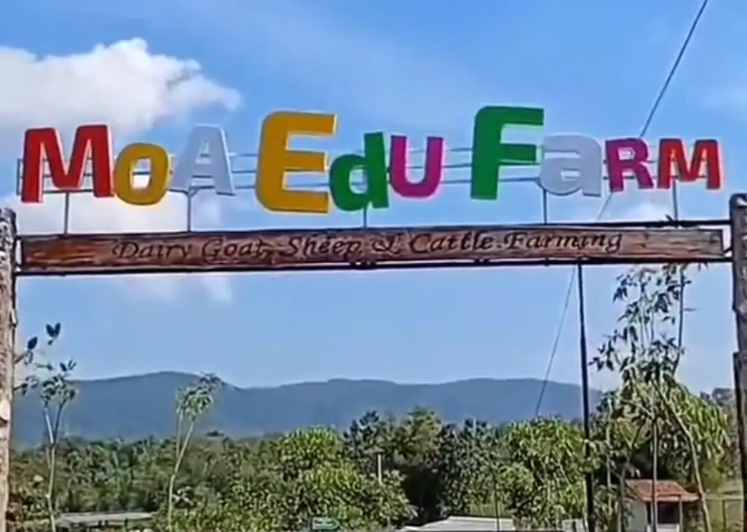 Moafarm Field & Food