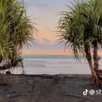 Pantai Pandanan merupakan salah satu spot terbaik ketika mengunjungi Desa Wisata Bunton Cilacap selain Pantai Bunton yang sudah lebih familiar di masyarakat. (Foto: TikTok @str.jpg)