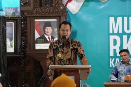 bupati