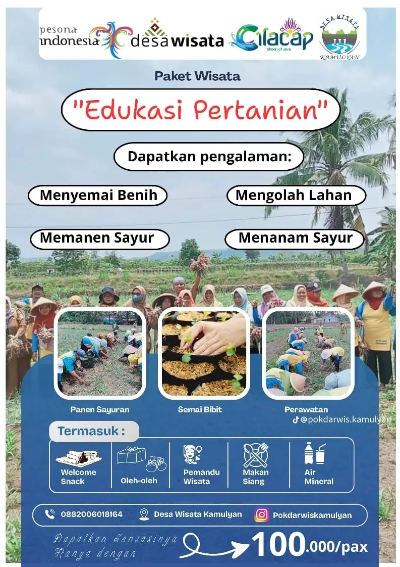 Salah satu paket wisata ketika berlibur ke Desa Kamulyan, Bantarsari, Cilacap. (Foto: TikTok @pokdarwis.kamulyan)