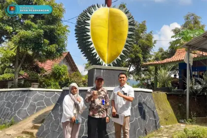 Wisata petik durian menjadi daya tarik utama bagi wisatawan di Desa Pesahangan, Kecamatan Cimanggu, Cilacap. (Foto: pesahangan-cimanggu.cilacapkab.go.id)