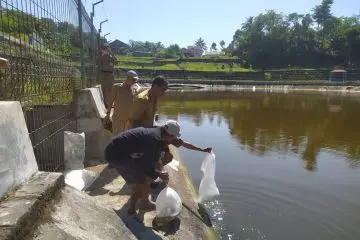 Momen kolaborasi pemerintah dan warga saat menebar benih ikan demi kelestarian alam. (Sumber: disperka.cilacapkab.go.id)