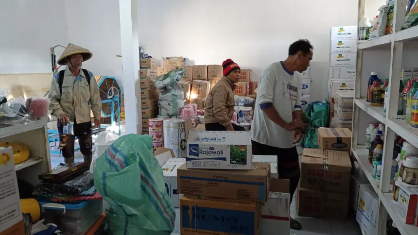 Petani Hortikultura Terjepit Lonjakan Harga Plastik dan Pestisida