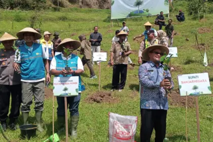 Komut PT PLN Indonesia Power beserta jajaran lainnya saat tanam pohon kopi di Desa Pegundungan Banjarnegara dalam rangka hari bumi, Kamis (23/4/2026). (Foto: Heri Cahyono)