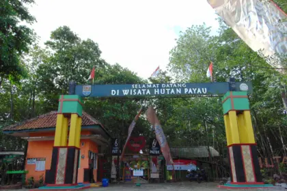 Keindahan sunset tersembunyi di Hutan Payau Cilacap, meskipun dibayangi kurang terawatnya fasilitas dan infrastruktur yang ada. (Foto: visitjawatengah.jatengprov.go.id)