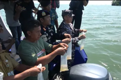 Lanal Cilacap dab PSDKP melepasliarkan ribuan benih lobster ke Laut Nusakambangan. (Lanal Cilacap).