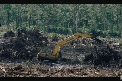 Tangkapan layar film dokumenter pesta babi yang rencananya akan di putar dalam nobar komunitas Godong Gedang Banjarnegara.