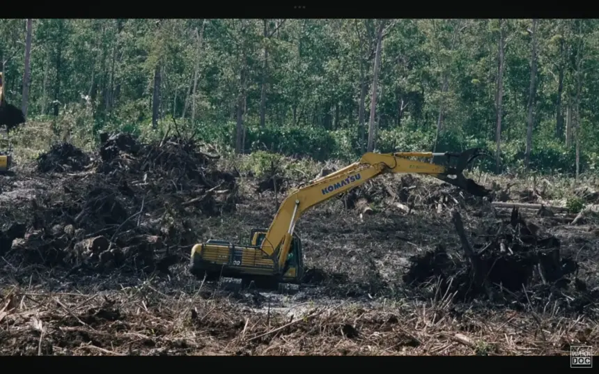 Tangkapan layar film dokumenter pesta babi yang rencananya akan di putar dalam nobar komunitas Godong Gedang Banjarnegara.