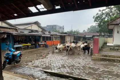 Kondisi Pasar Hewan Cilongok, Banyumas, yang masih terbuka tanpa atap, Selasa (14/04/2026).(Foto: Wahyu Sumantri)