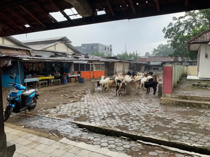 Kondisi Pasar Hewan Cilongok, Banyumas, yang masih terbuka tanpa atap, Selasa (14/04/2026).(Foto: Wahyu Sumantri)