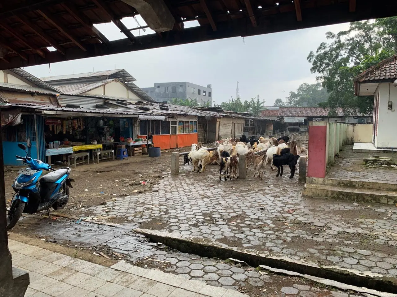 Kondisi Pasar Hewan Cilongok, Banyumas, yang masih terbuka tanpa atap, Selasa (14/04/2026).(Foto: Wahyu Sumantri)