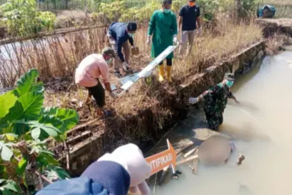 Petugas evakuasi dan olah TKP mayat pria mengambang di kolam warga di Wanareja Cilacap. (Polresta Cilacap).