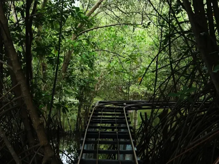 Keseruan menaiki Kereta Wisata untuk menyusuri rute hutan bakau dan kolam udang di sekitar lokasi. (Foto: Google Review Taman Cimarna)