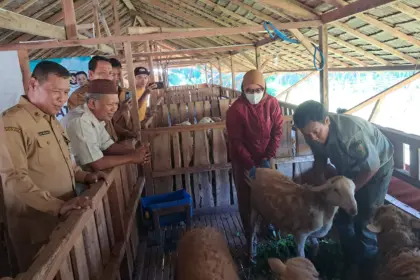 Baznas Cilacap Siapkan 250 Kambing untuk DAM Haji Jemaah 2026