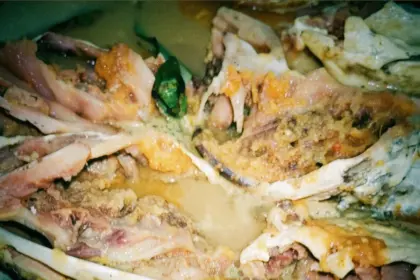 Ressk memasak Brekecek Pathak Jahan, kuliner khas Cilacap yang anti amis. (Sumber: Ilustrasi, editing TikTok @rmbrekecekpathak)