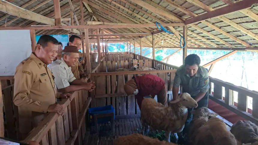 Jelang Iduladha 1447 H, Dispertan Cilacap Pastikan Hewan Kurban Sehat dan Melimpah