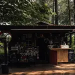 Library Coffee di Hutan Pinus Sawangan, menjadi salah satu rekomendasi spot ngopi di Ajibarang, Banyumas. (Sumber: TikTok @hutanpinussawangan)
