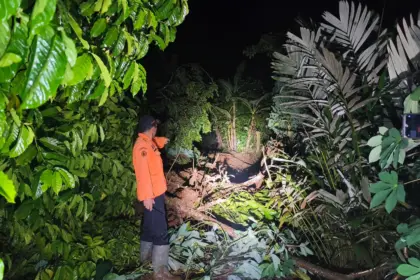 ​BPBD saat cek mahkota longsor di Desa Petuguran Punggelan, Sabtu malam (16/5/2026). (Foto: BPBD Banjarnegara).