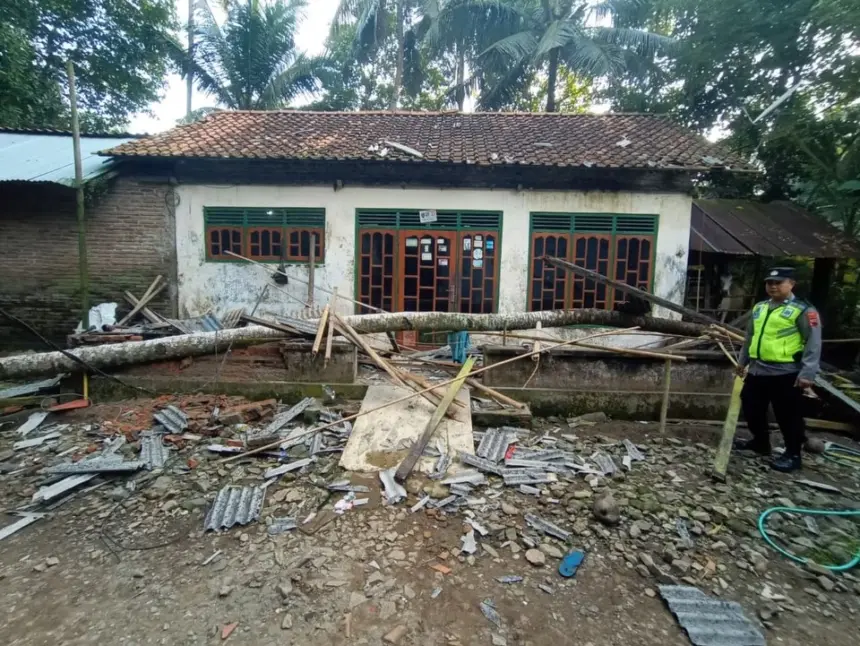 Pohon Kelapa Tumbang