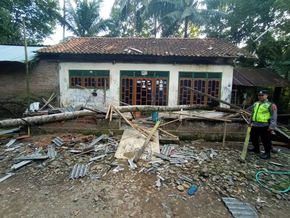 Pohon Kelapa Tumbang