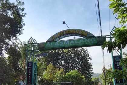 Mengulas potensi yang ada di Desa Alasmalang, Kecamatan Kemranjen, Banyumas. (CilacapToday) 