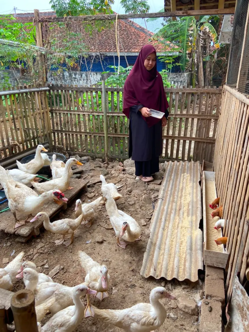 Kisah Windi Asal Banjarnegara: Ubah Sampah Dapur Jadi Ladang Cuan dan Telur